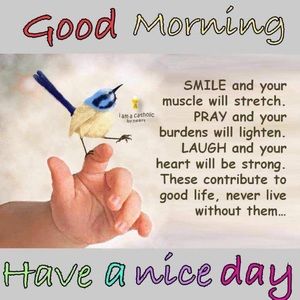 Meet your Posher, Rose